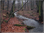 foto Parco Wilhelmshöhe in Inverno